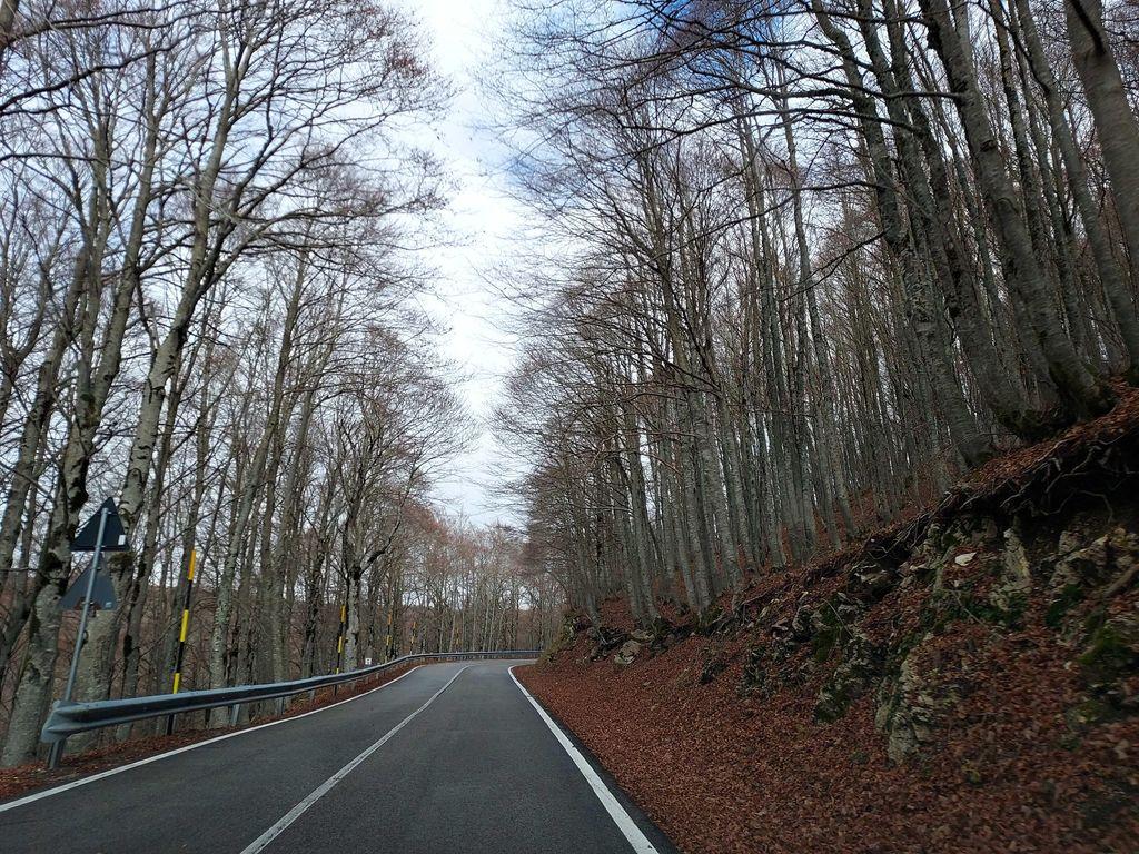 View at km 28