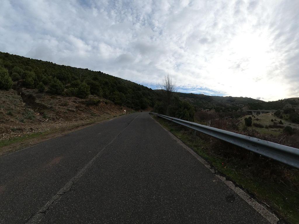View at km 10.5