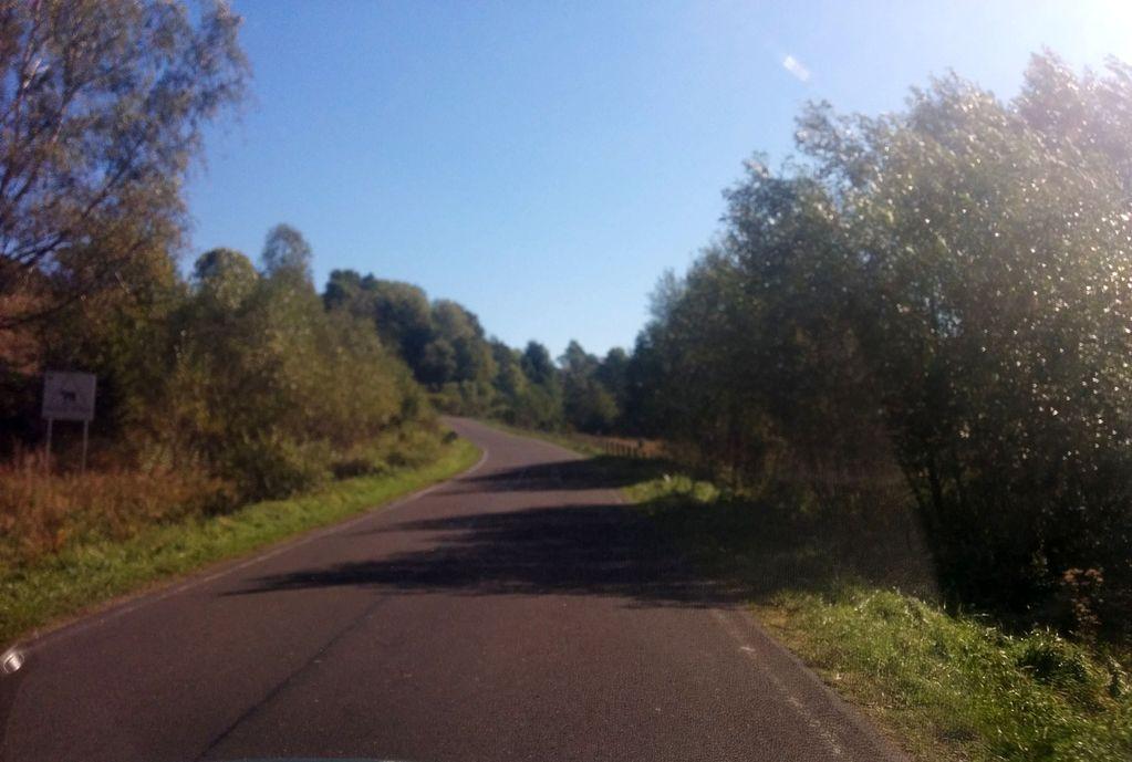 View at km 2.9