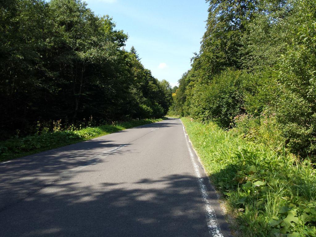 View at km 2.5