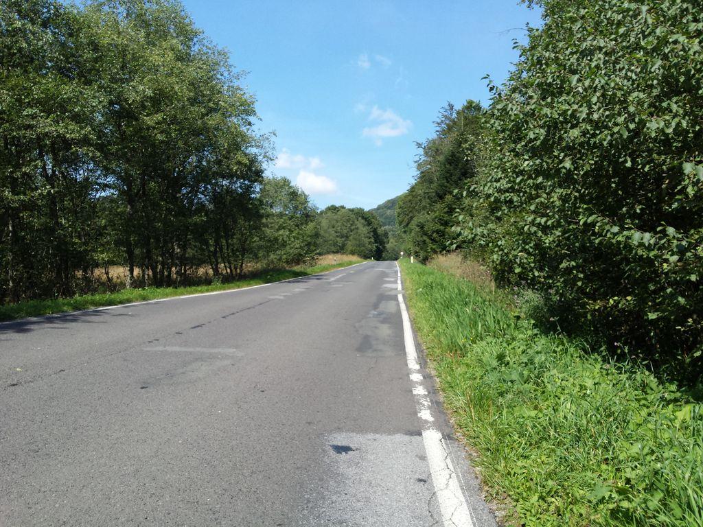View at km 3.1