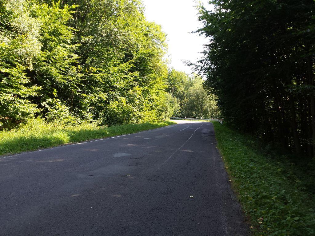View at km 4.2