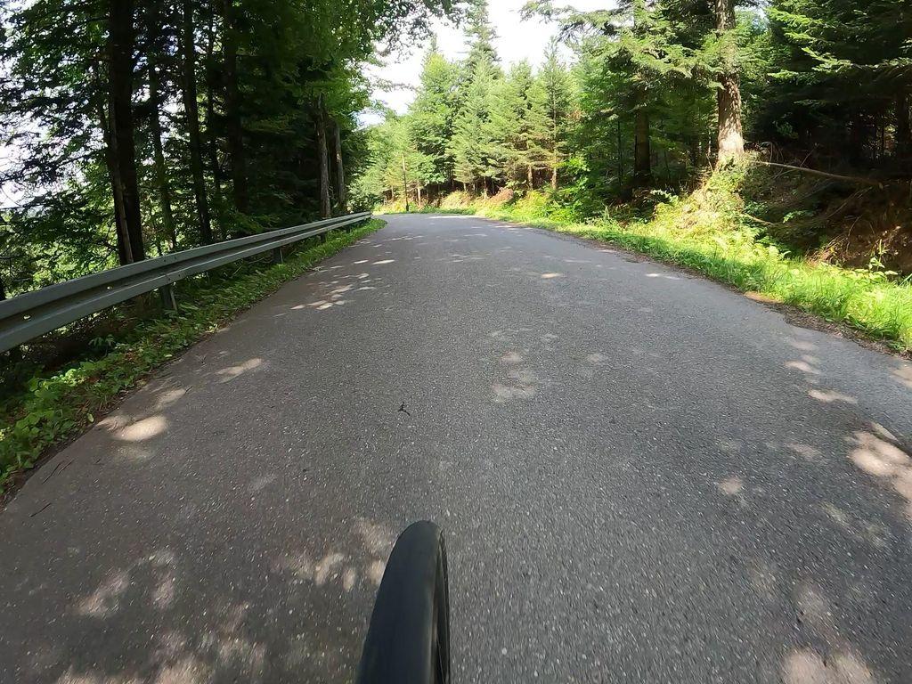 View at km 5