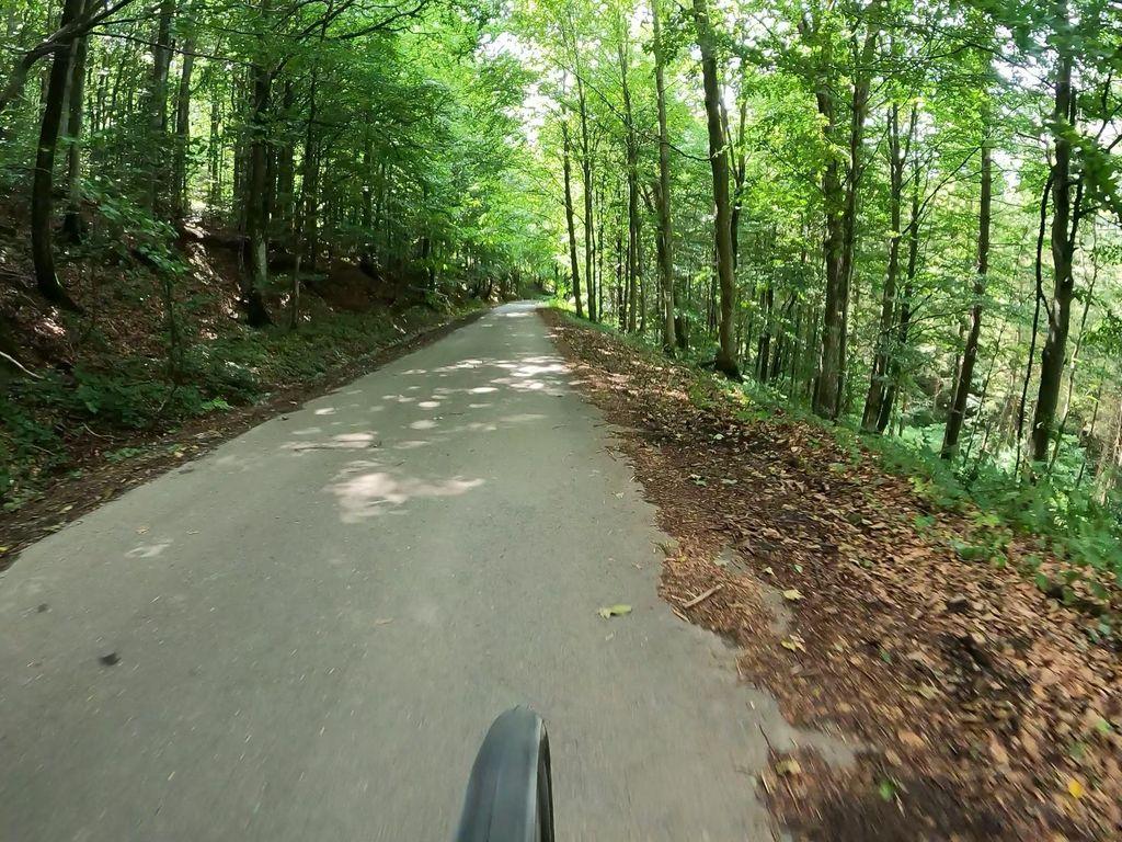 View at km 7.9