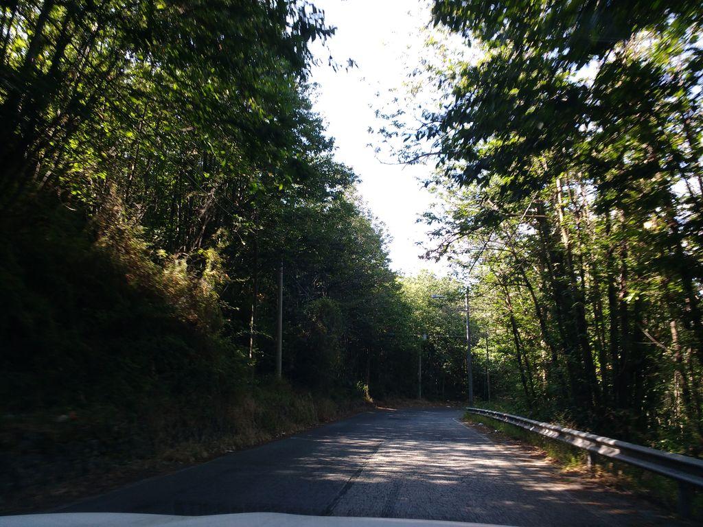 View at km 2.3