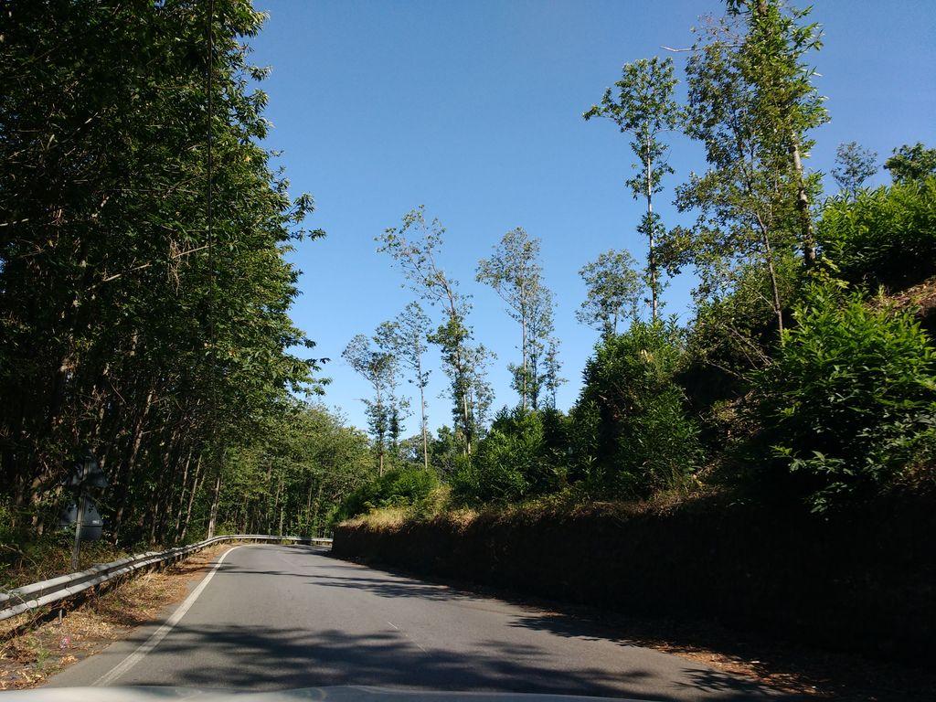 View at km 2.8
