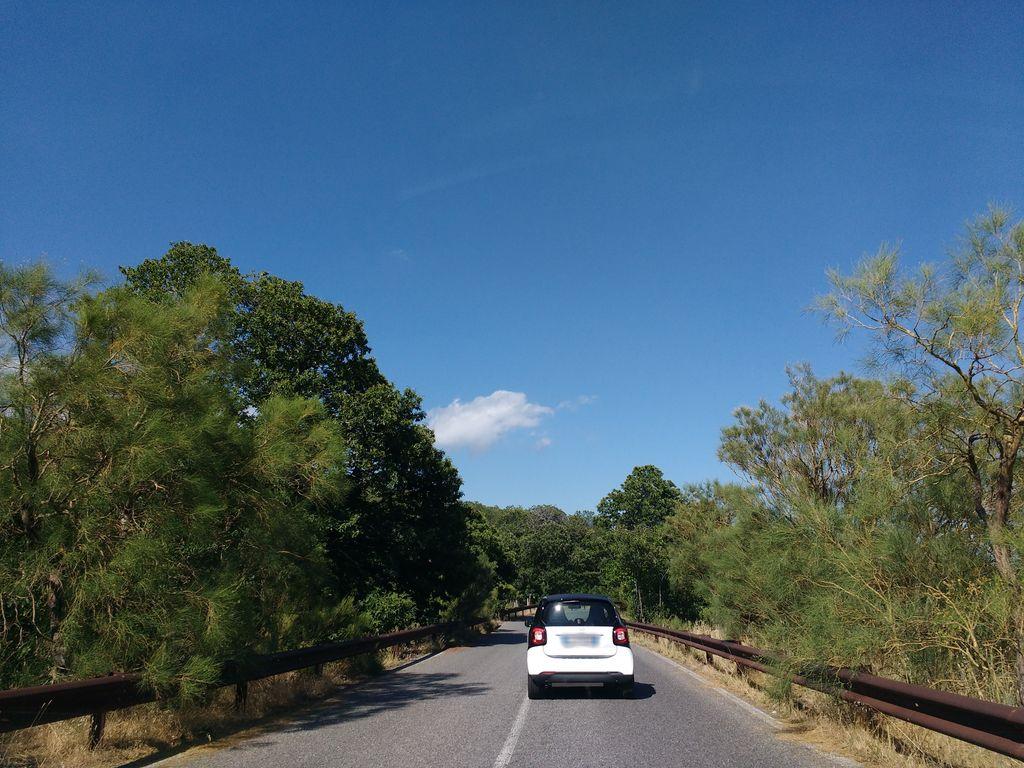 View at km 9.9