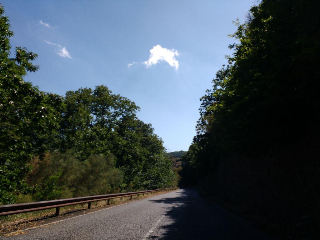 View at km 13