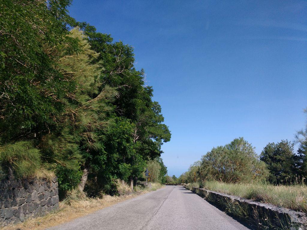 View at km 16