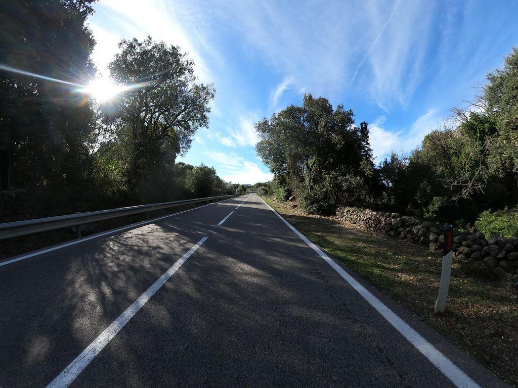 View at km 11.6