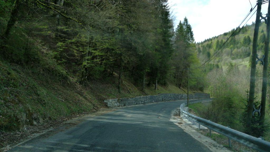 View at km 1.3