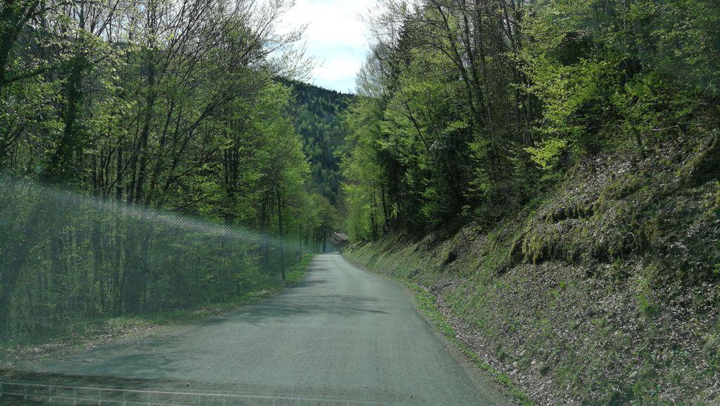 View at km 4.5