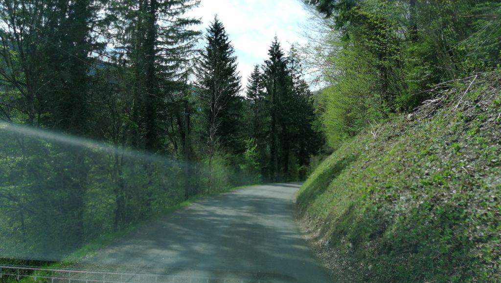 View at km 5