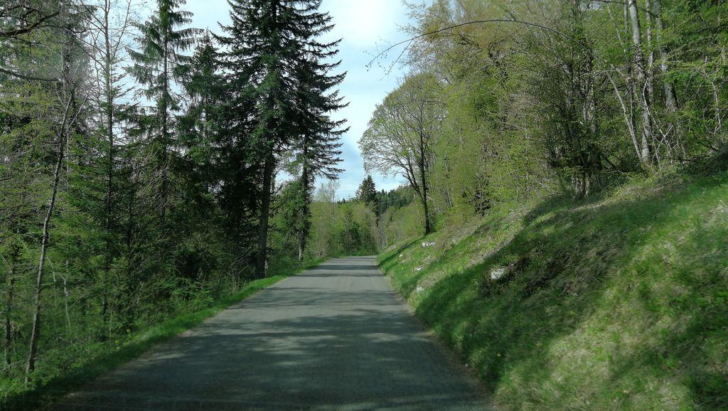 View at km 8.1