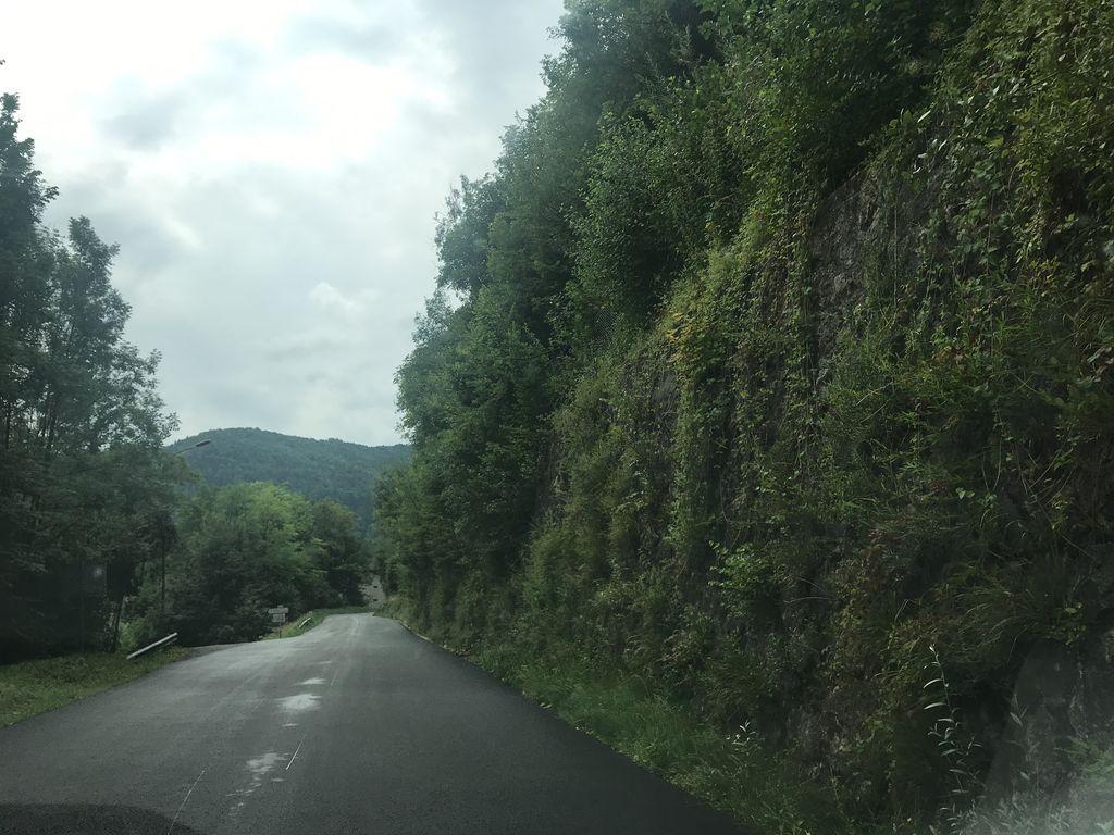 View at km 0.3
