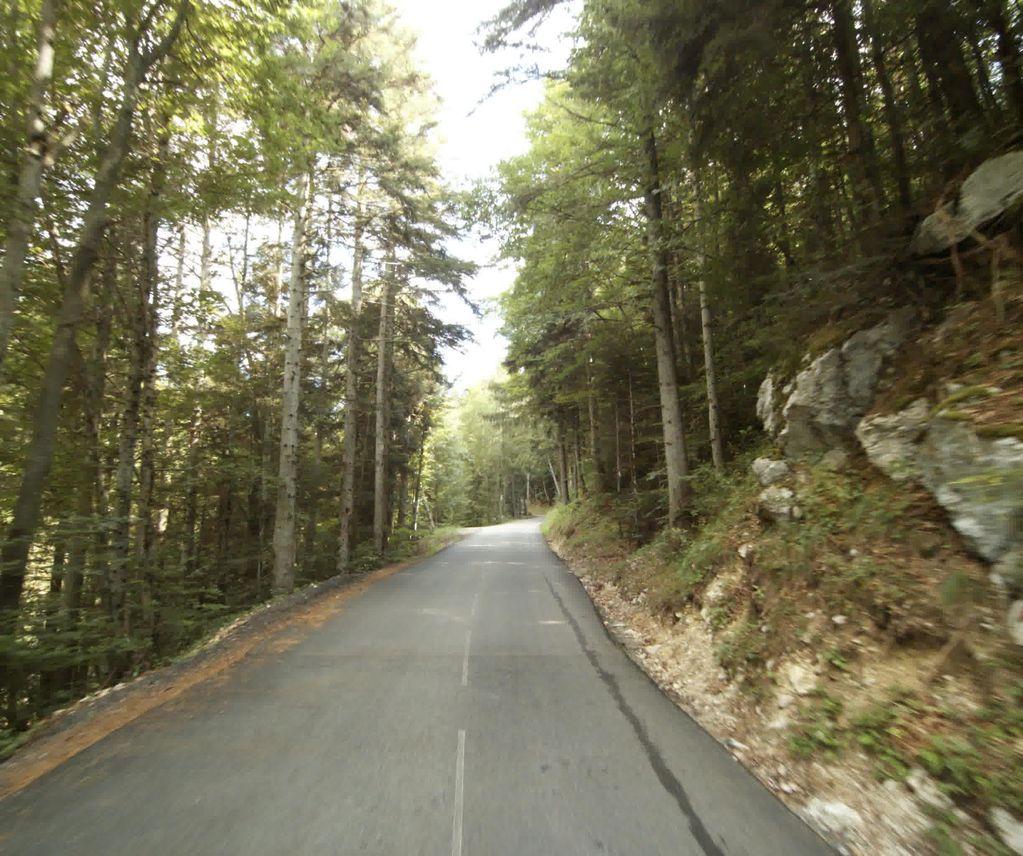 View at km 5.1
