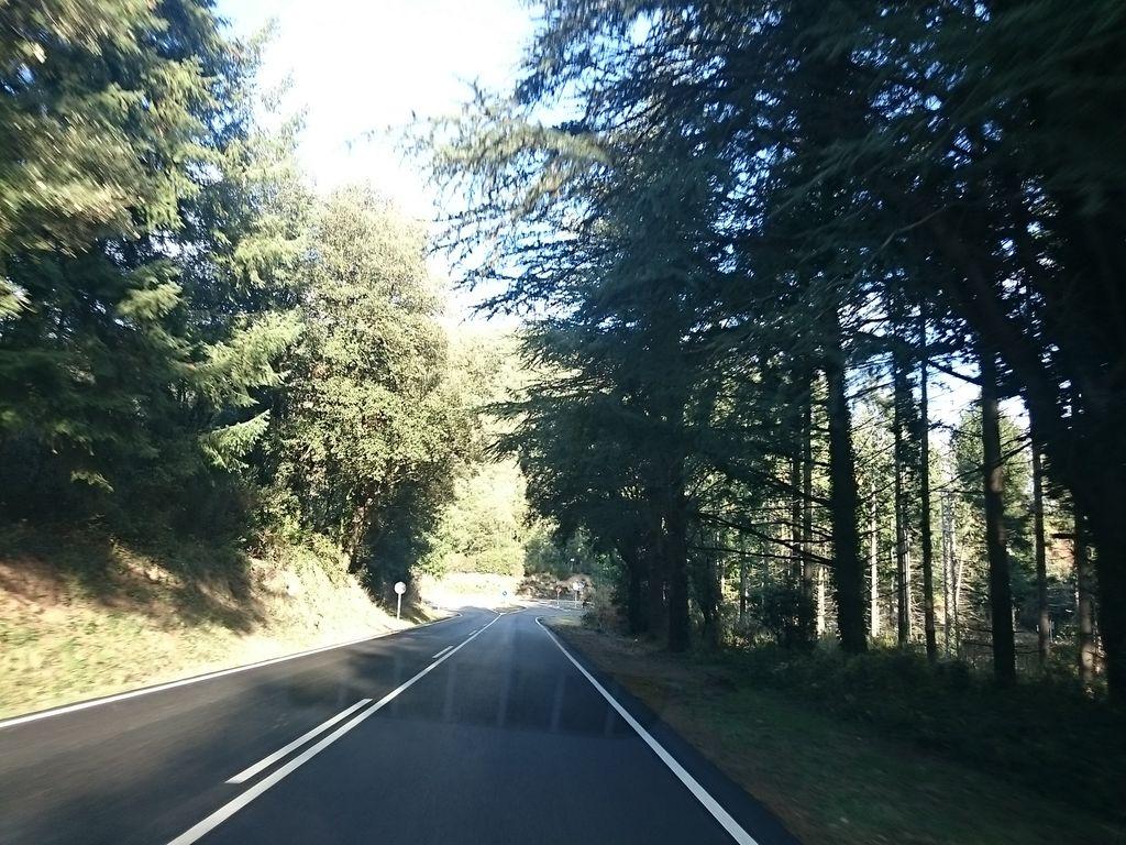 View at km 0.3
