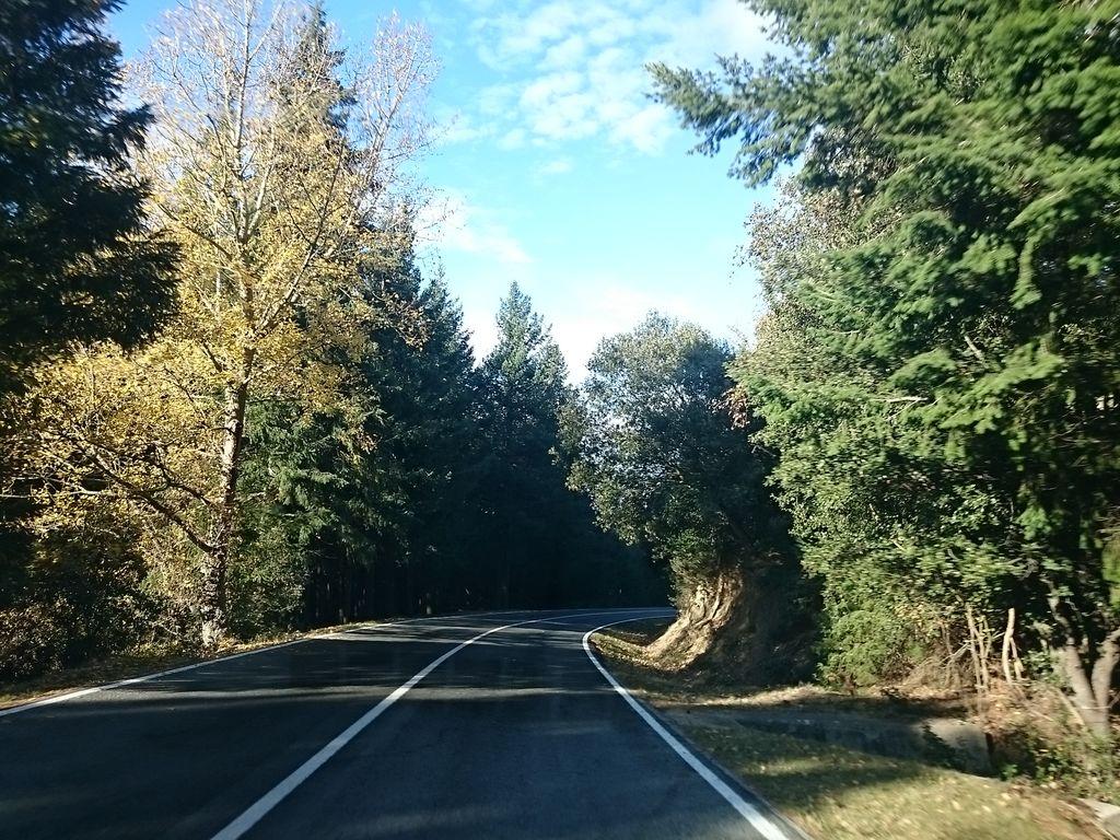 View at km 1.4