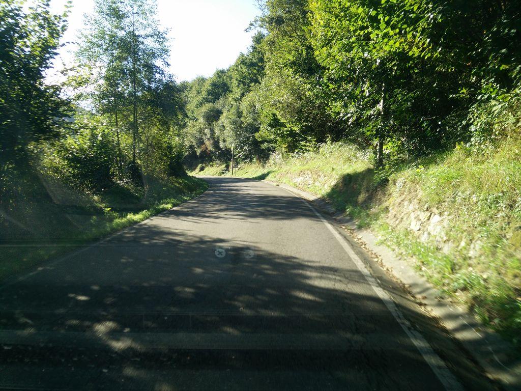 View at km 1.3