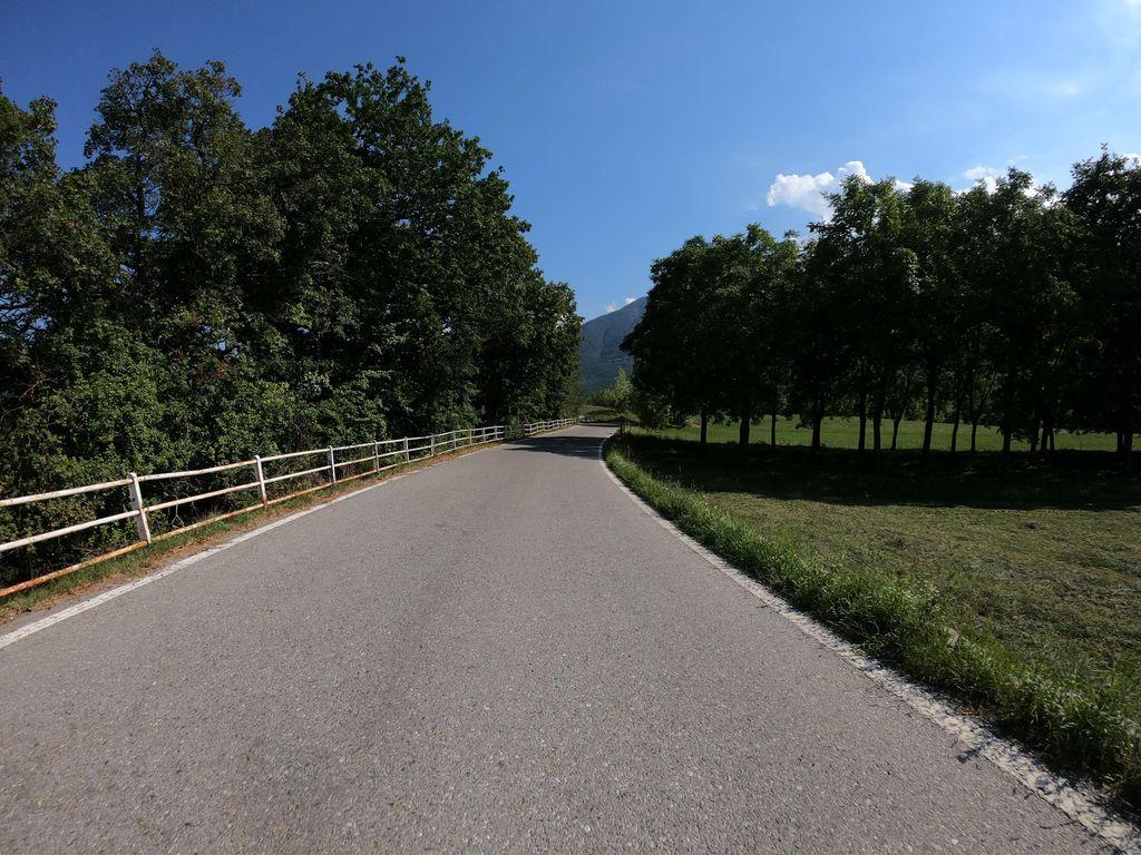 View at km 1.3