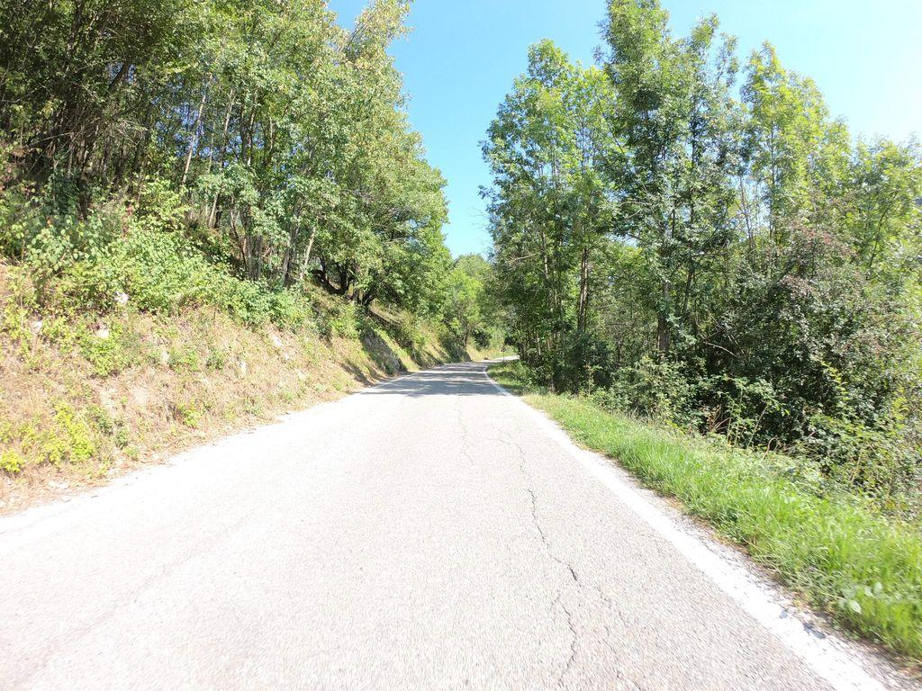 View at km 5.4