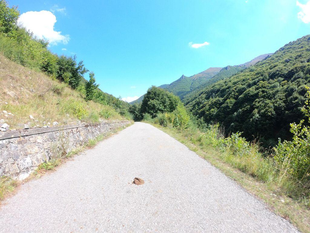 View at km 11.6