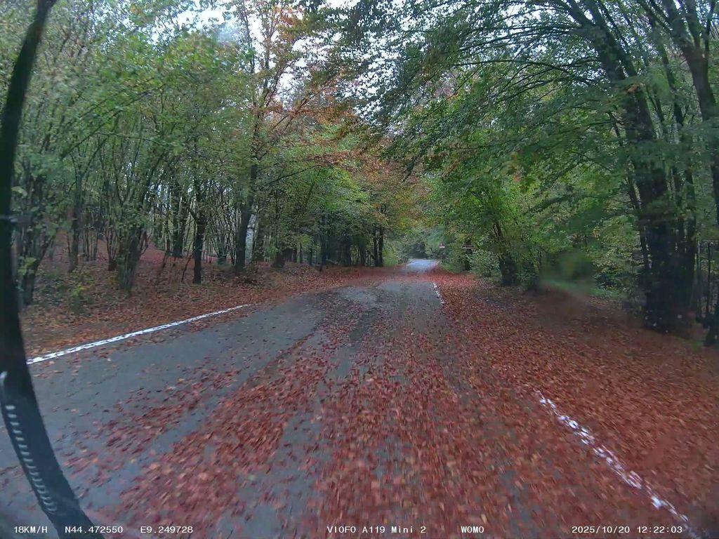 View at km 15.6