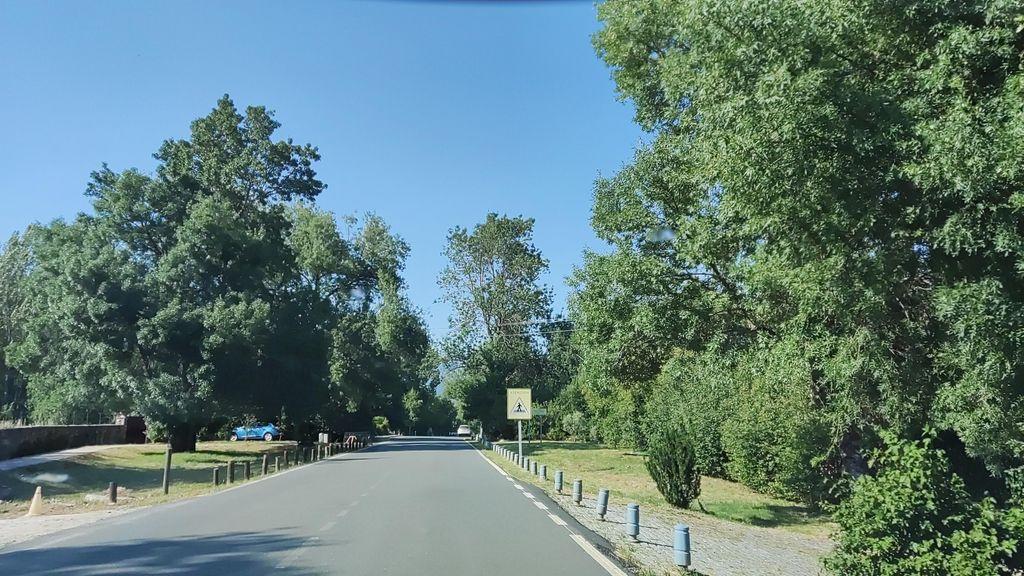 View at km 19.5
