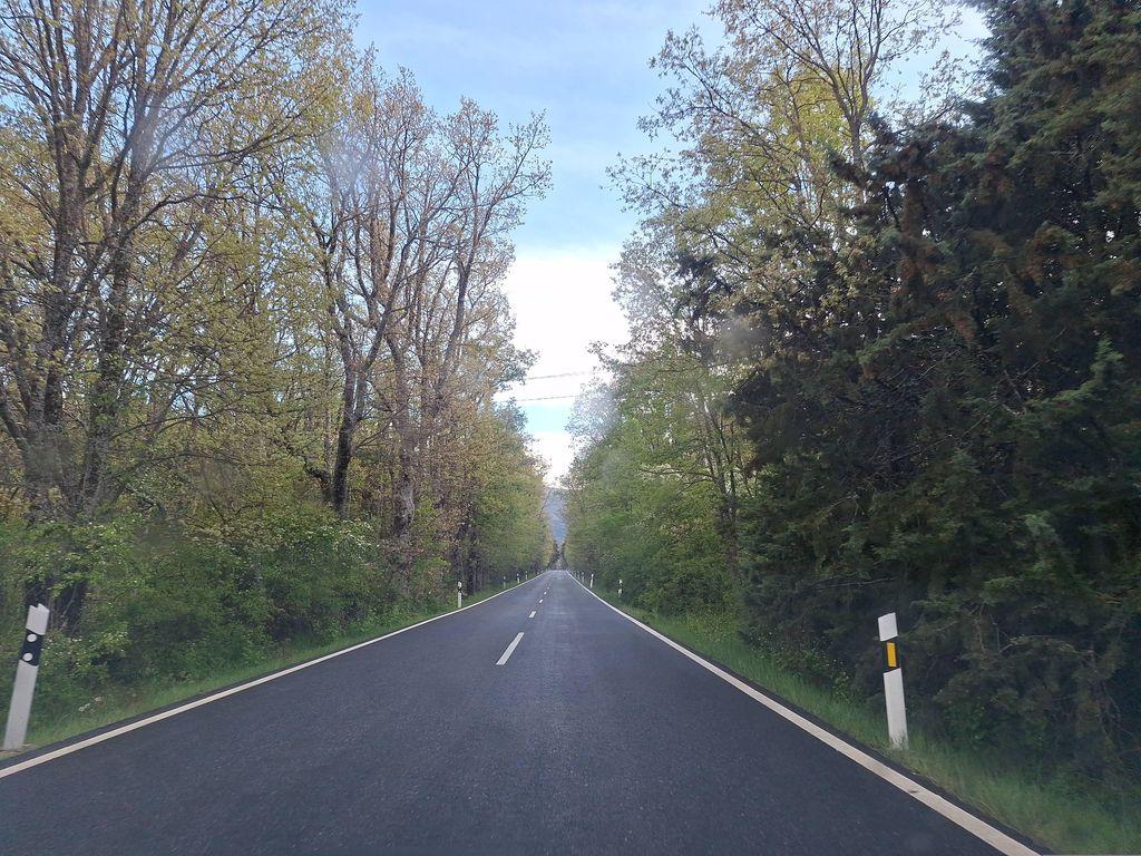View at km 22