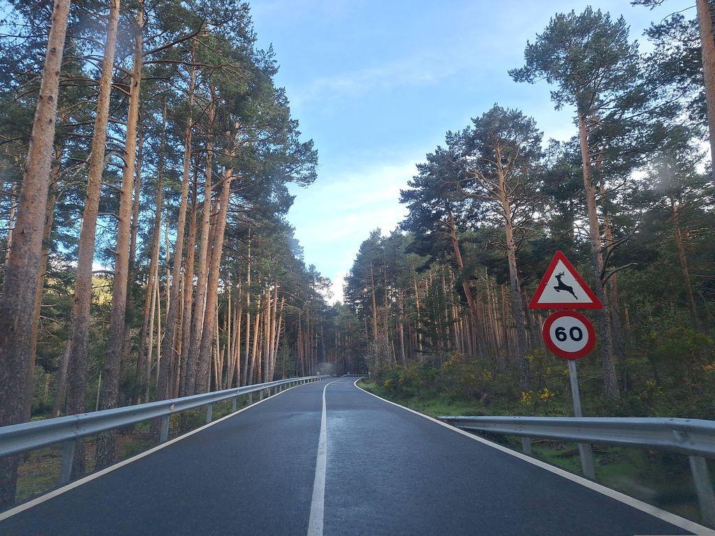 View at km 23.5