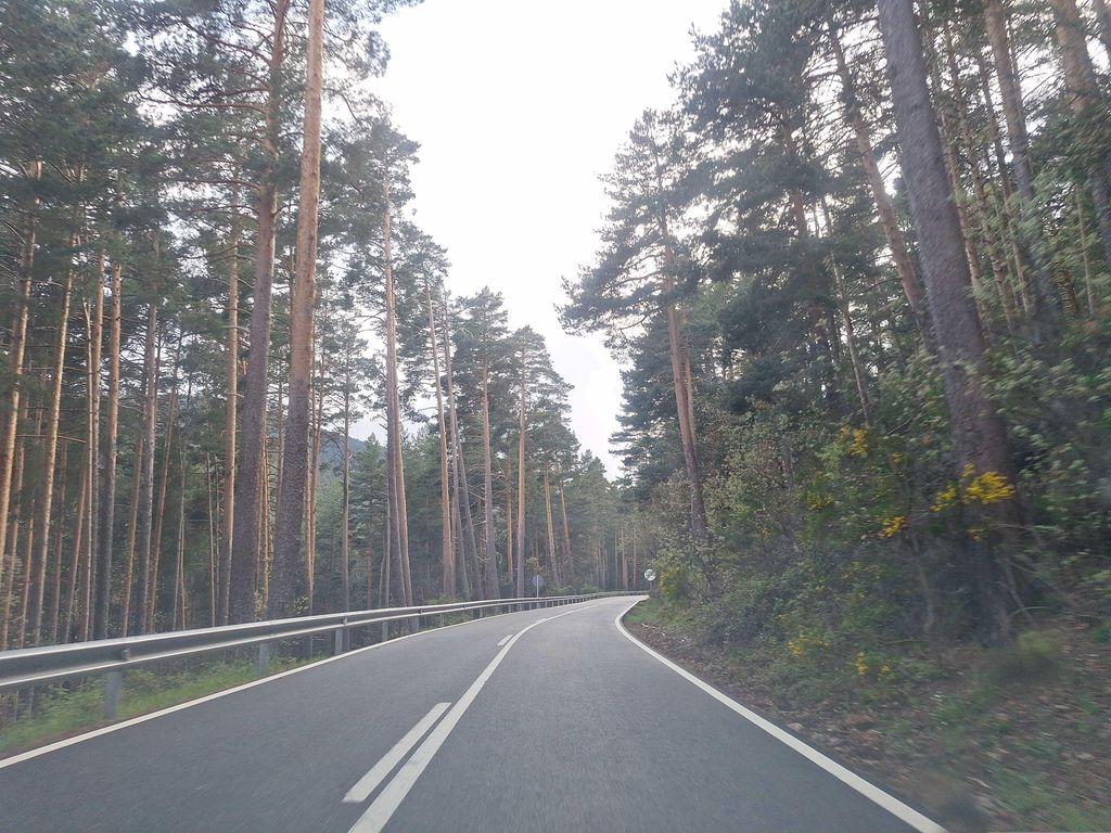 View at km 26