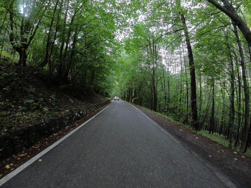 View at km 3.8