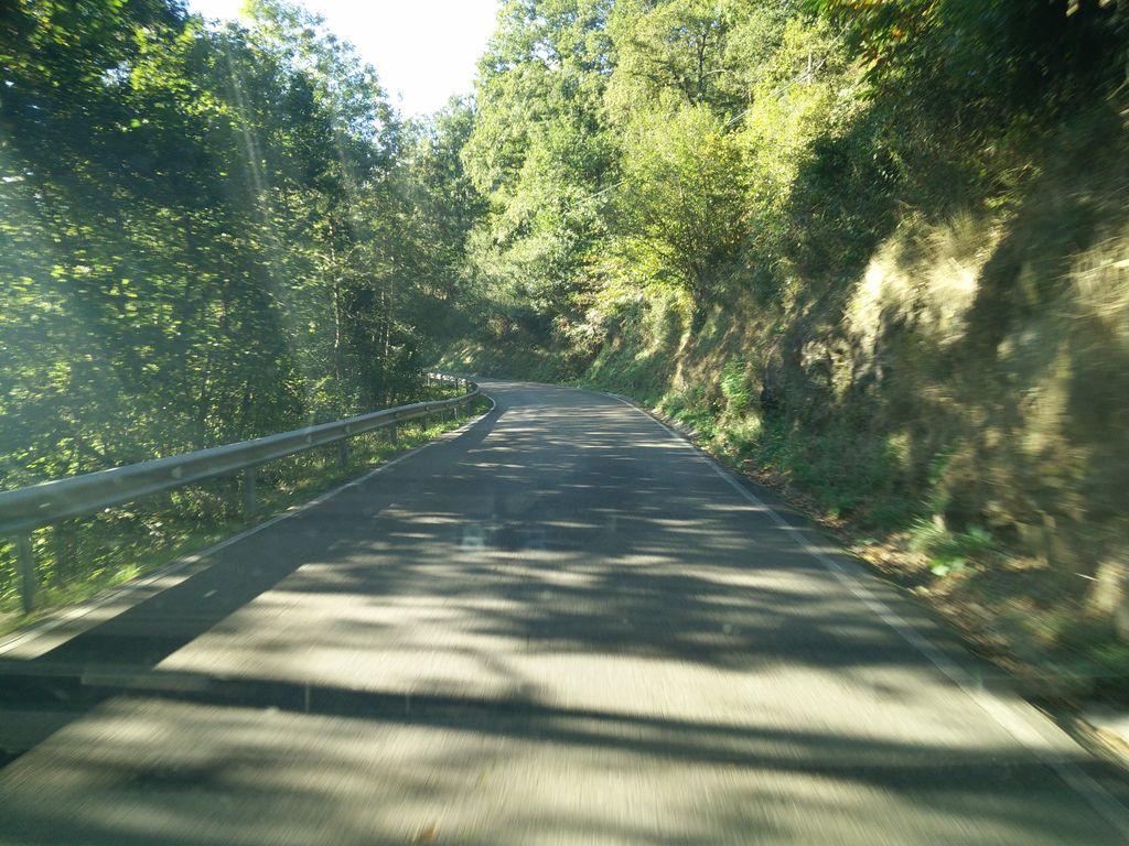 View at km 0.8