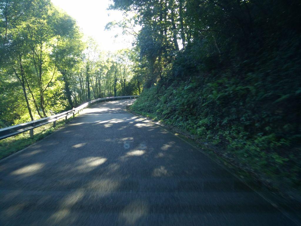 View at km 5.4