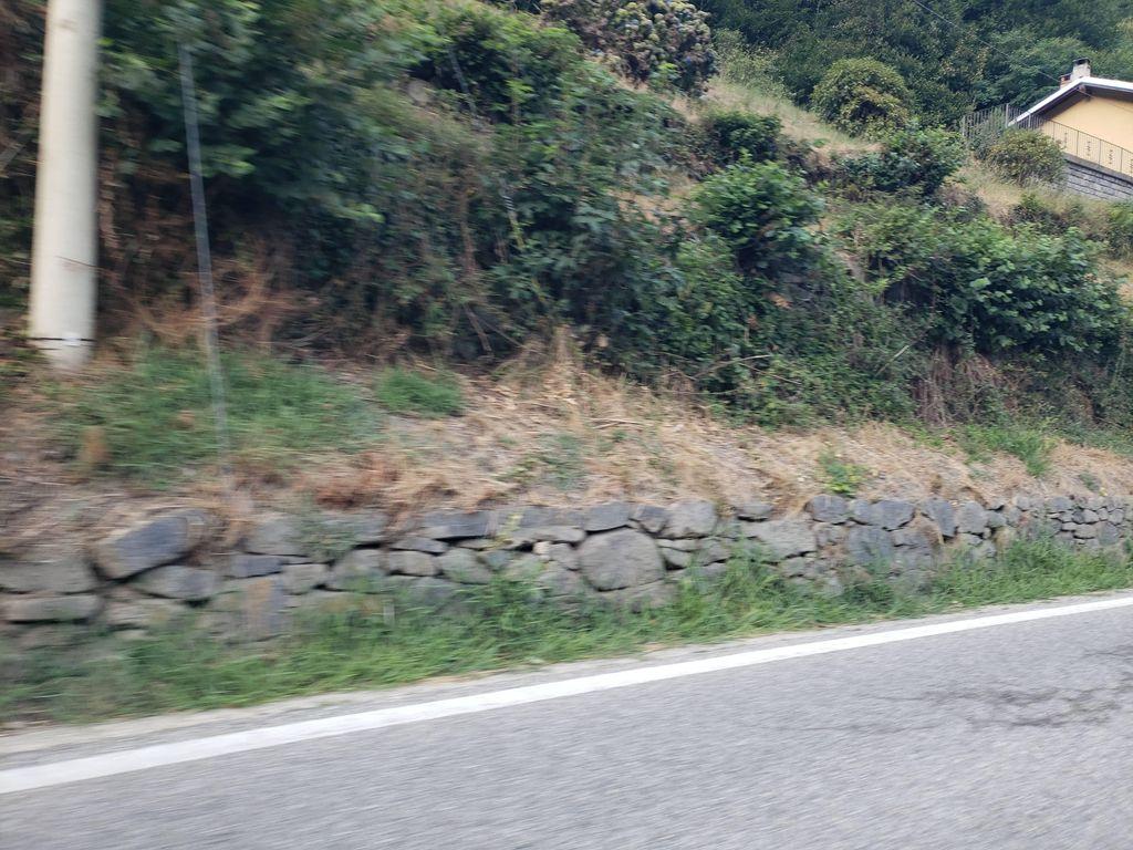 View at km 3.8