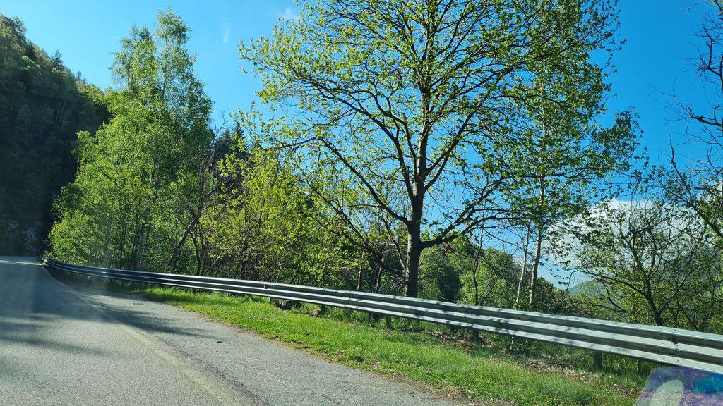 View at km 12.5