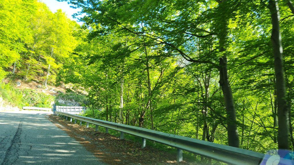 View at km 14