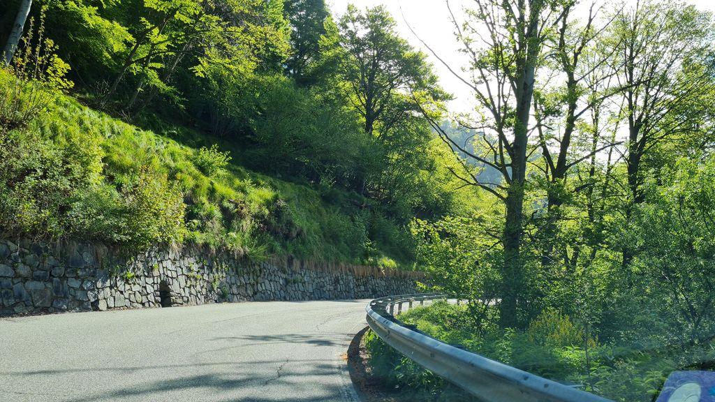 View at km 14.5