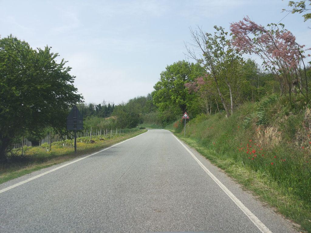 View at km 2.5