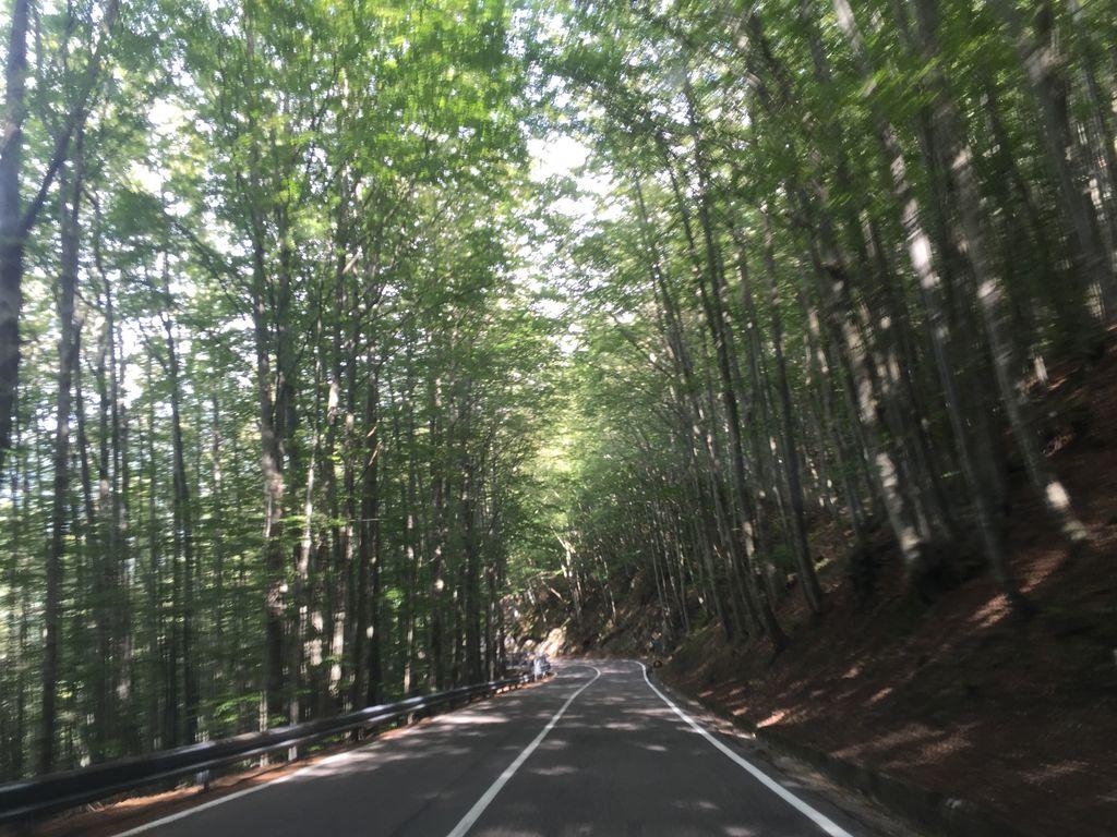 View at km 25.3