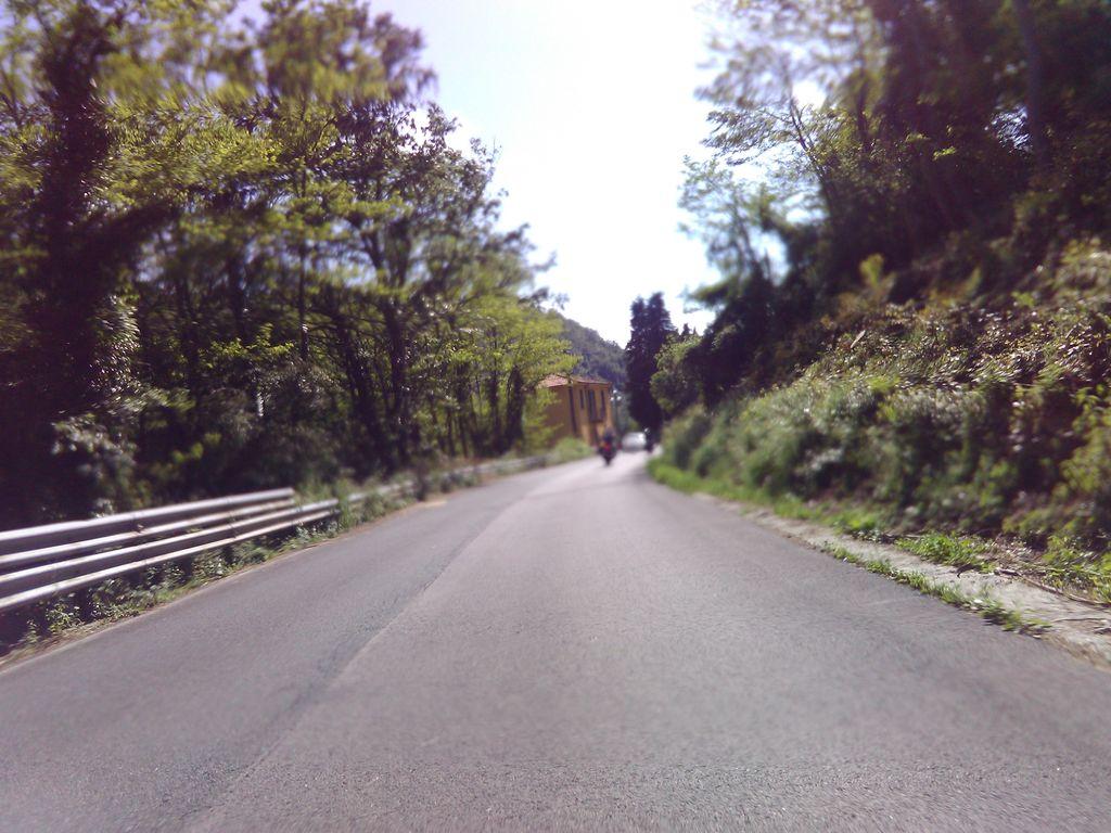 View at km 11.5