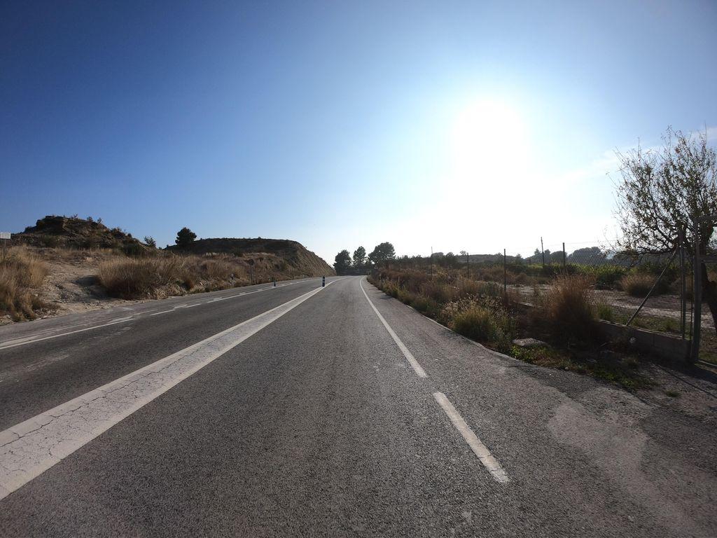 View at km 1.3