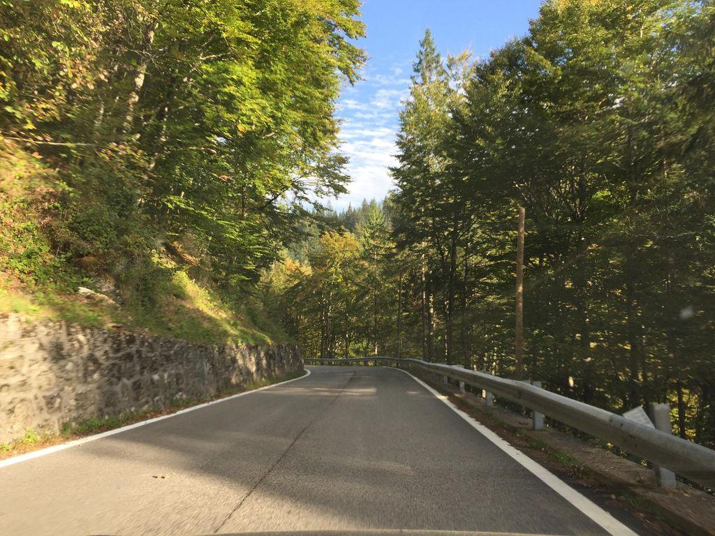 View at km 11.5