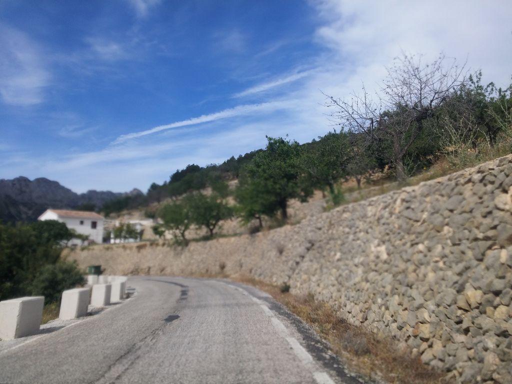 View at km 11.6
