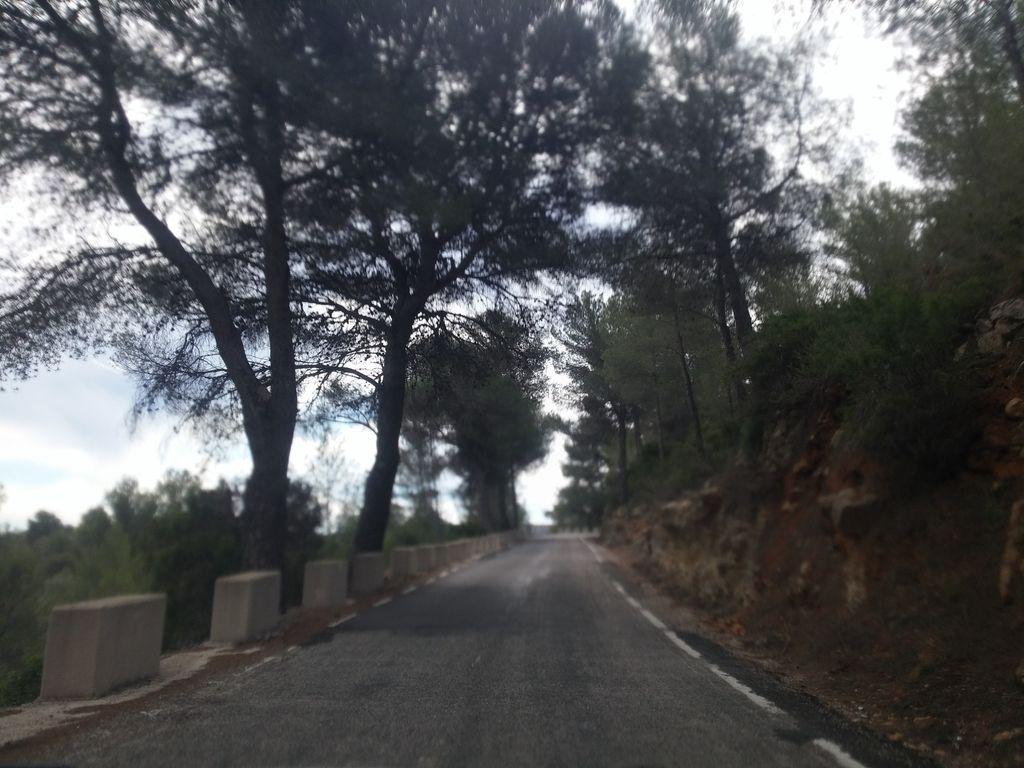 View at km 14.1