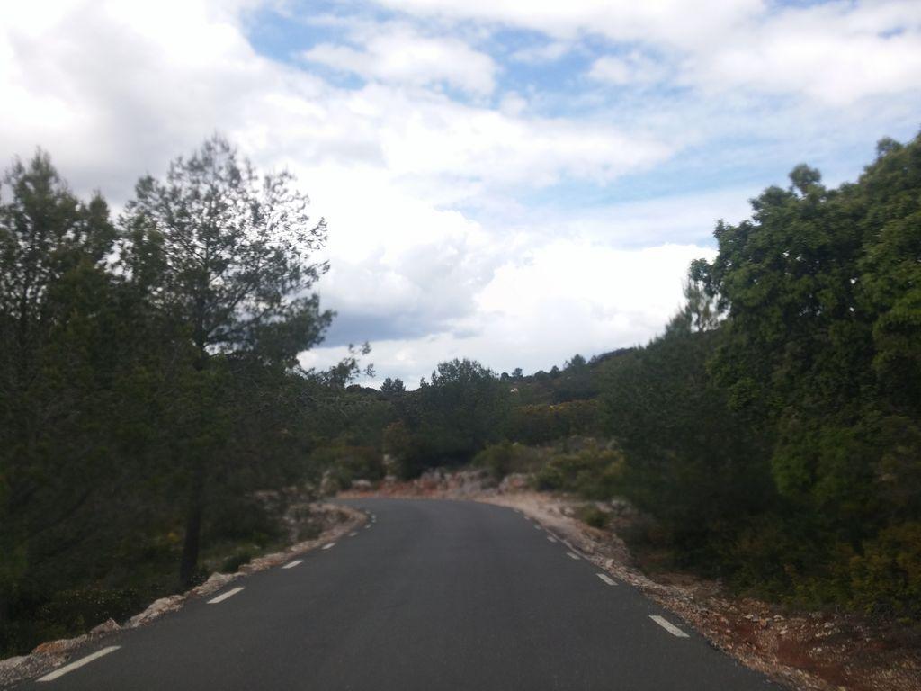 View at km 19.3