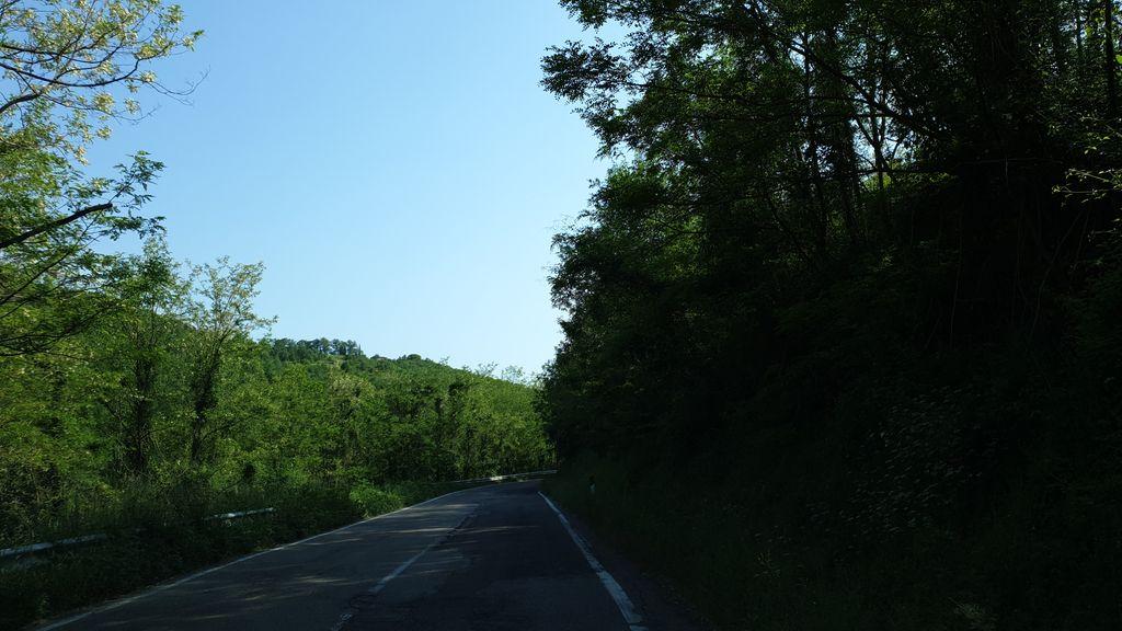 View at km 4.4