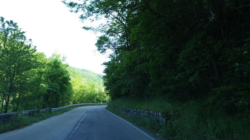 View at km 5.4