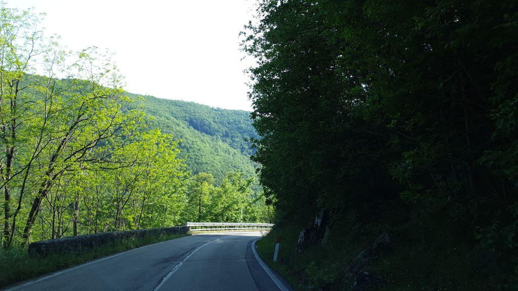 View at km 8.5