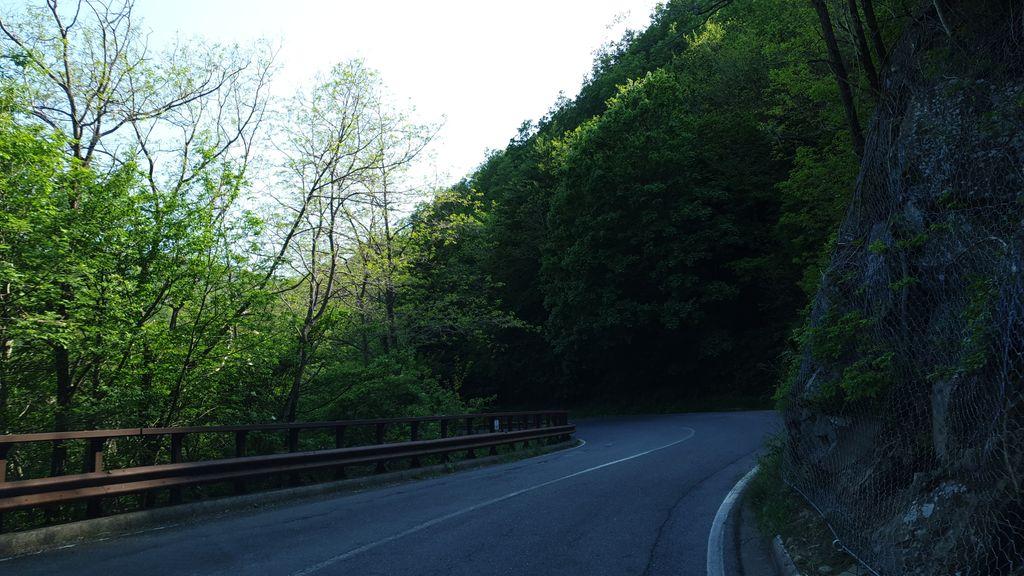 View at km 9.6